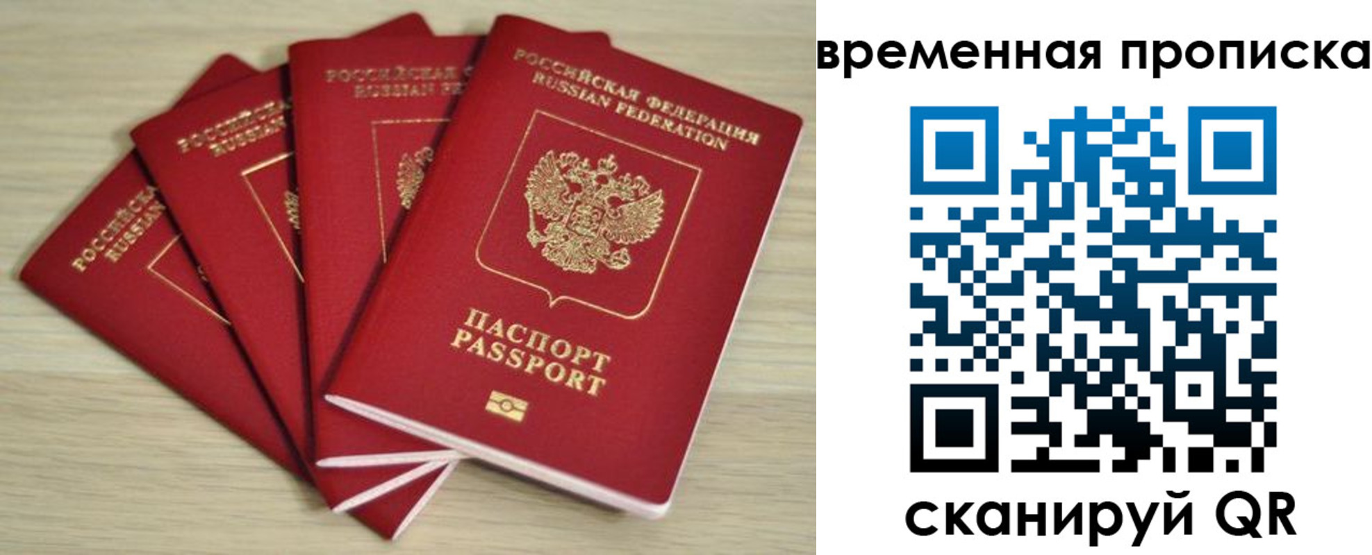прописка для школы в Белой Холунице